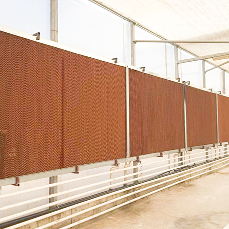 Evafan Kasalı Ped (150x240x15Cm)